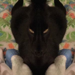 Meet your Posher, Ruth